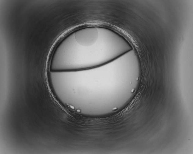 X0000098141327200804171112