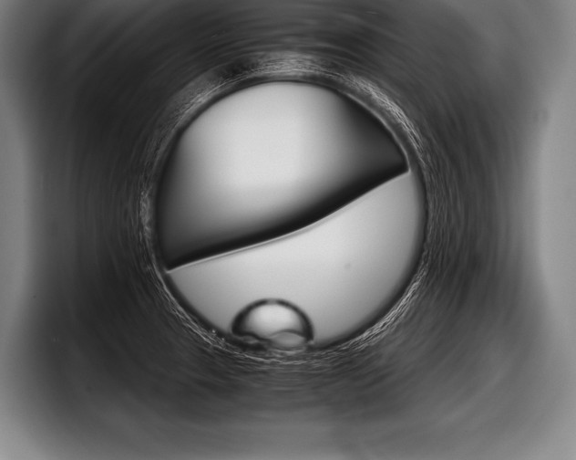 X0000098141329200804171112