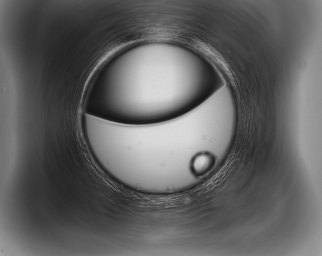 X0000098141332200804171112