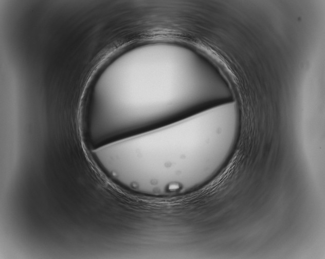 X0000098141333200804171112