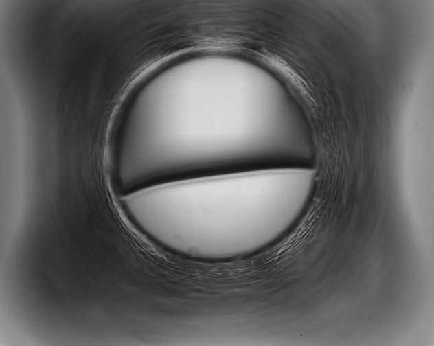 X0000098141335200804171112