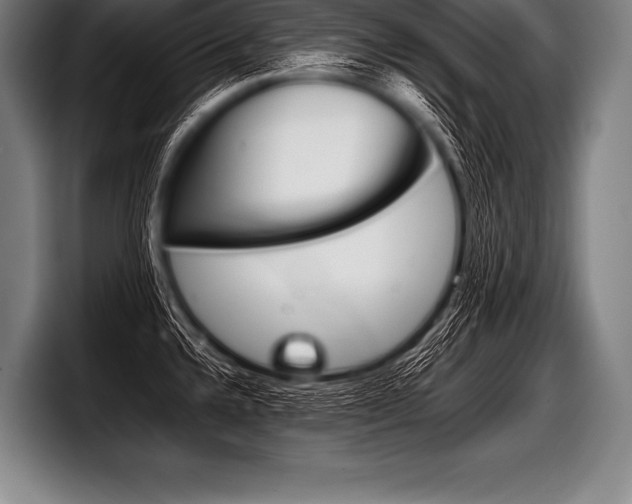X0000098141336200804171112