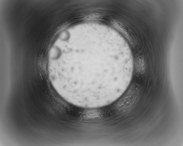 X0000098141338200804171112