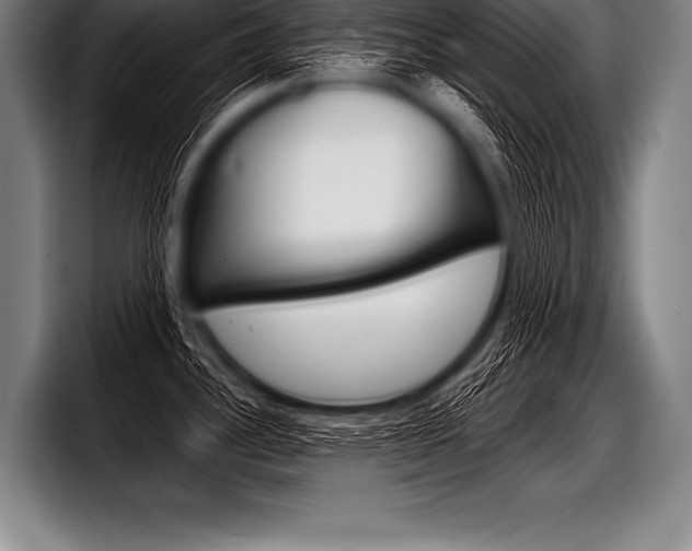 X0000098141340200804171112