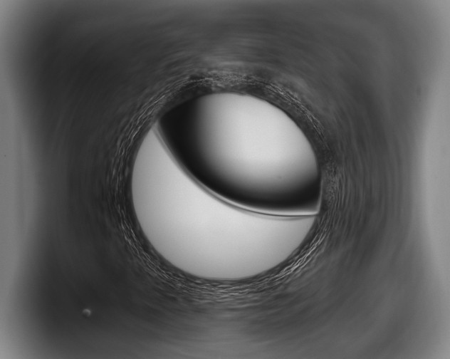 X0000098141345200804171111