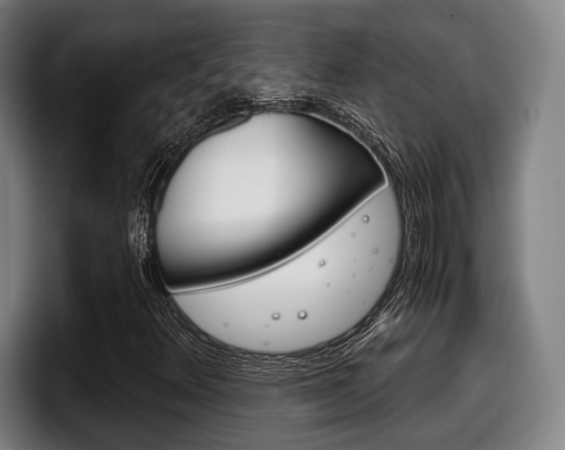 X0000098141348200804171111