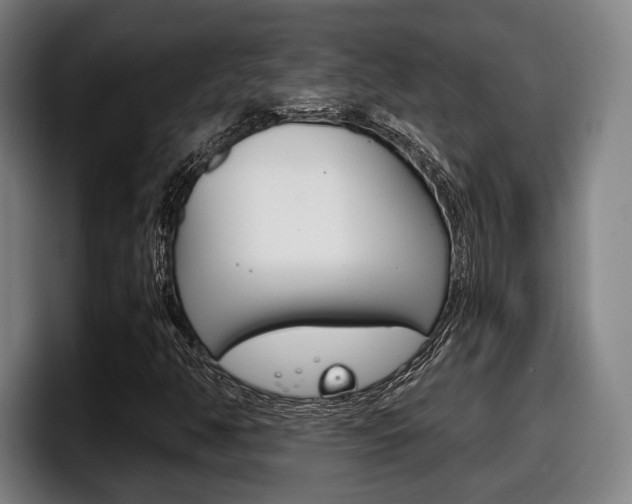 X0000098141350200804171111