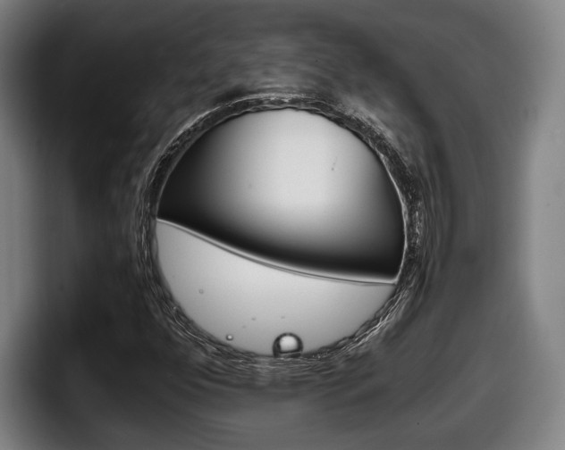 X0000098141352200804171111