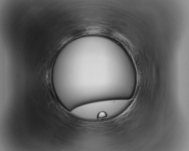 X0000098141353200804171111
