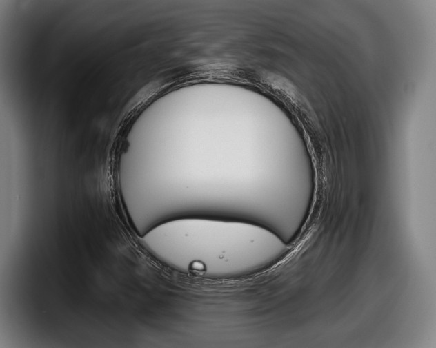 X0000098141354200804171111
