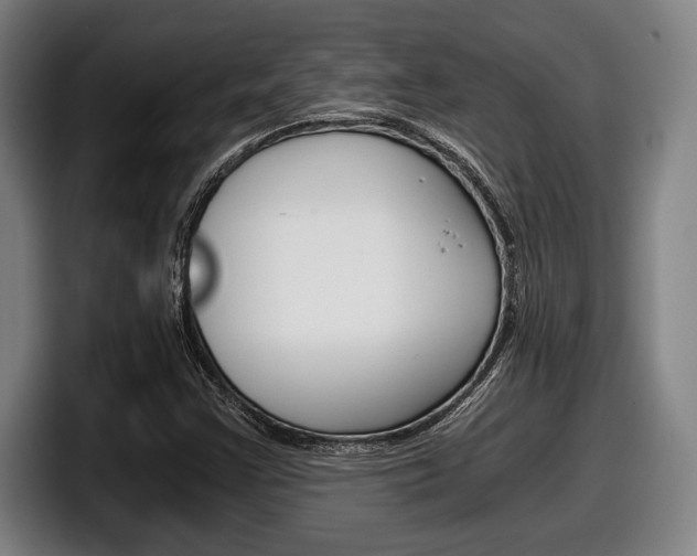 X0000098141355200804171111