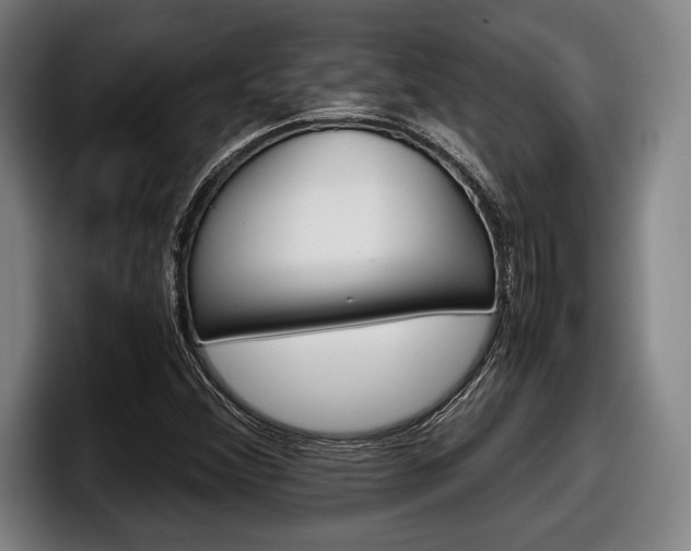X0000098141356200804171111