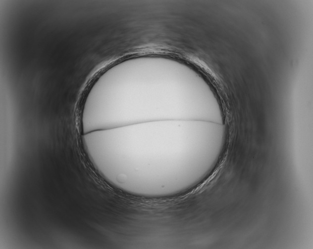 X0000098141358200804171111
