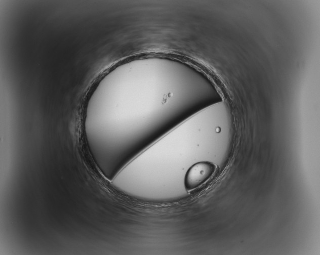 X0000098141359200804171111