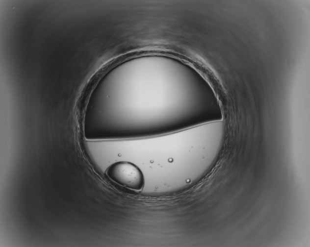 X0000098141360200804171111