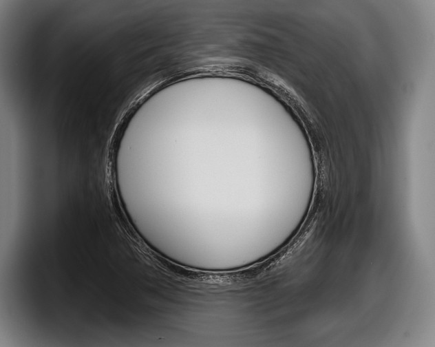 X0000098141362200804171111
