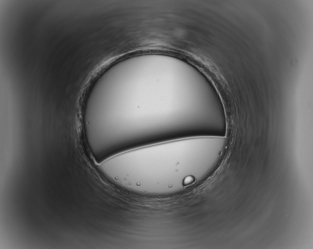 X0000098141363200804171111