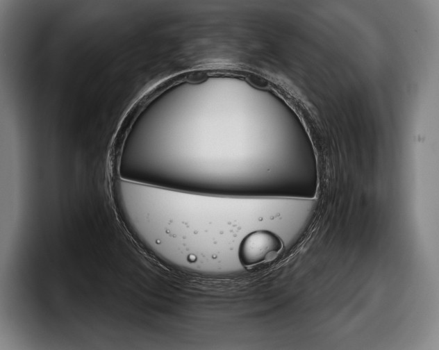 X0000098141364200804171111