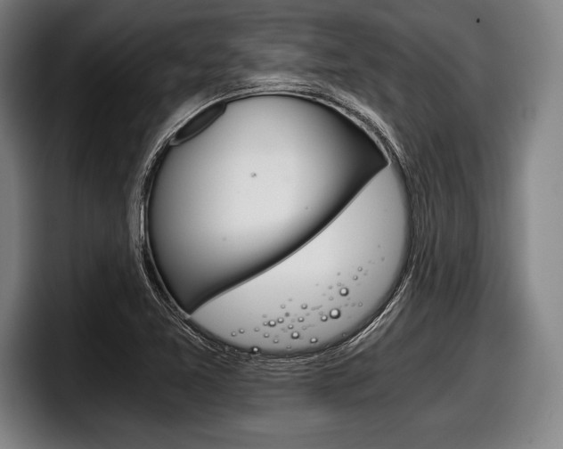 X0000098141365200804171111