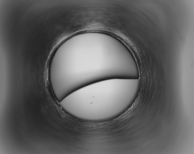 X0000098141366200804171111