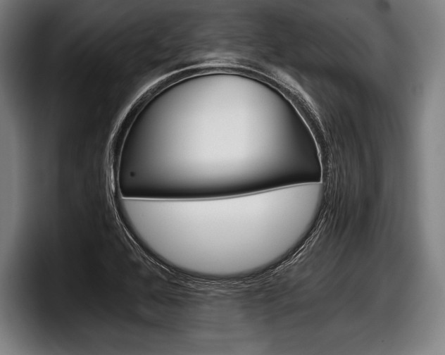 X0000098141368200804171111