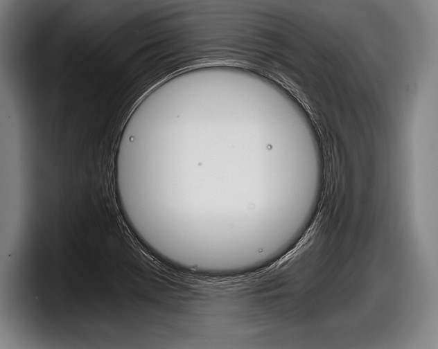 X0000098141369200804171111