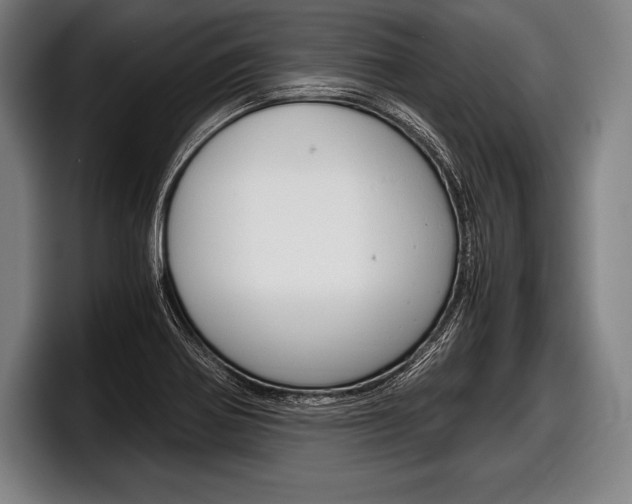 X0000098141370200804171111