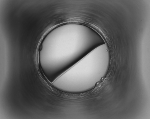 X0000098141371200804171111