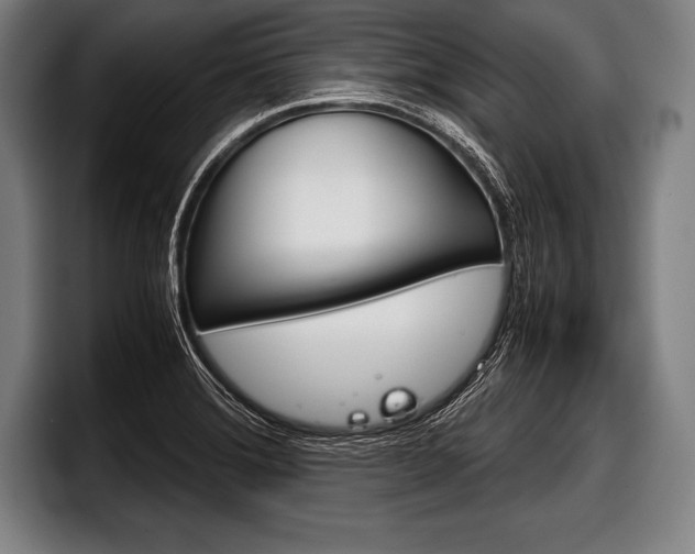 X0000098141372200804171111