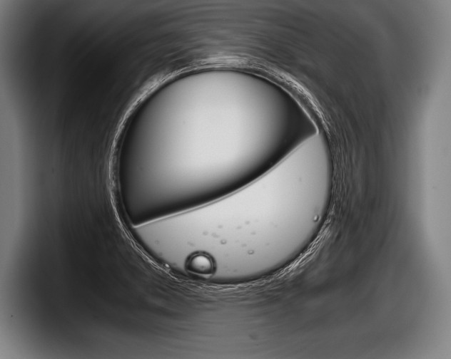 X0000098141373200804171111