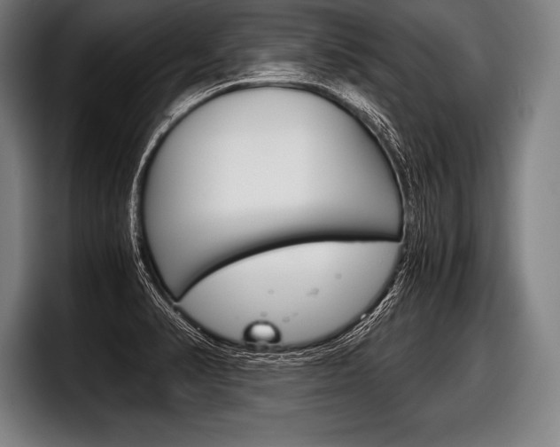 X0000098141374200804171111