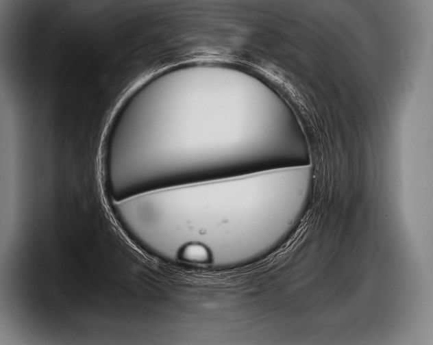 X0000098141375200804171111