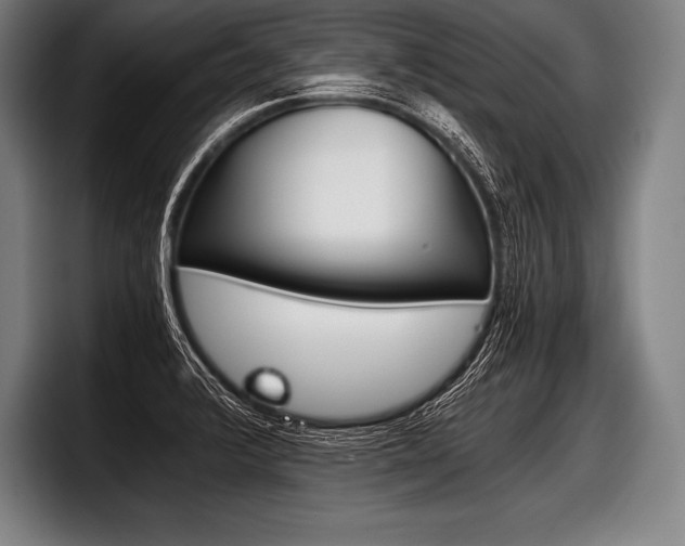 X0000098141376200804171111