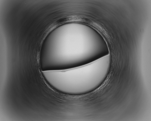 X0000098141377200804171111
