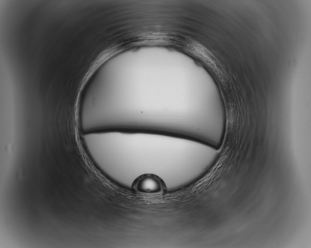 X0000098141378200804171111