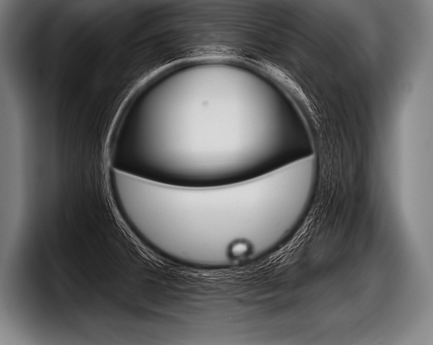 X0000098141380200804171111