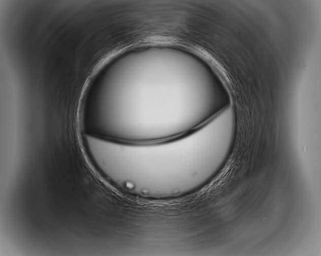 X0000098141381200804171111