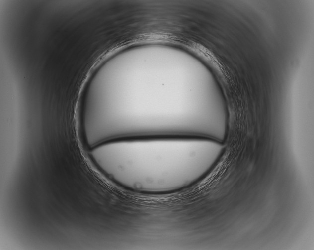 X0000098141382200804171111