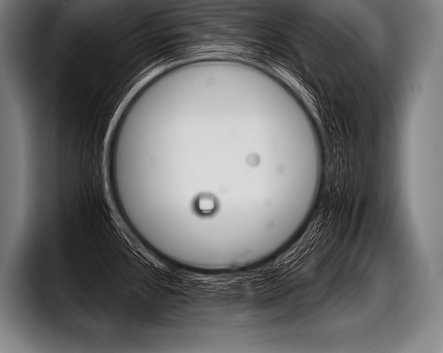 X0000098141384200804171111