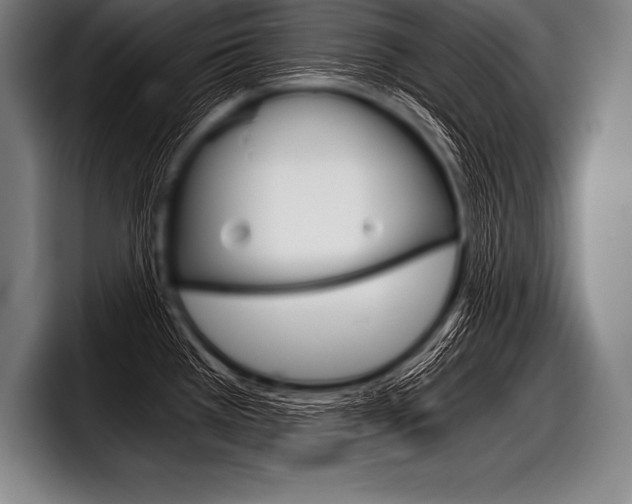 X0000098141385200804171111