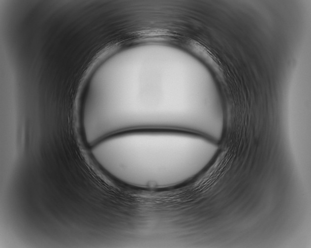 X0000098141386200804171111