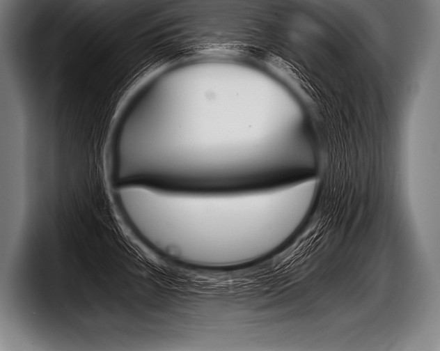 X0000098141387200804171111