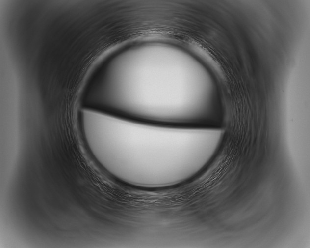 X0000098141388200804171111