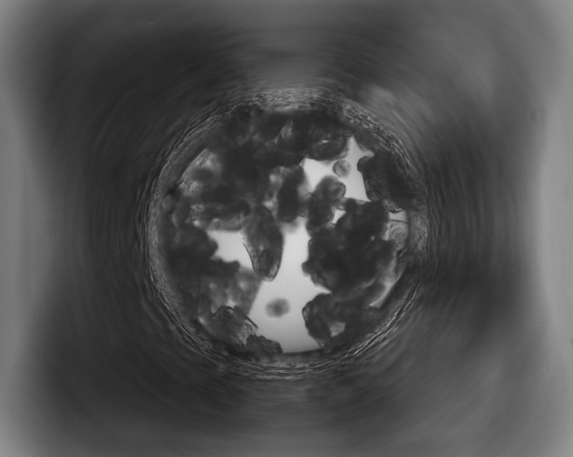 X0000098141393200804171110