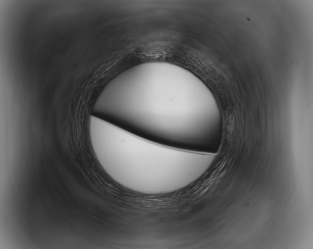 X0000098141394200804171110