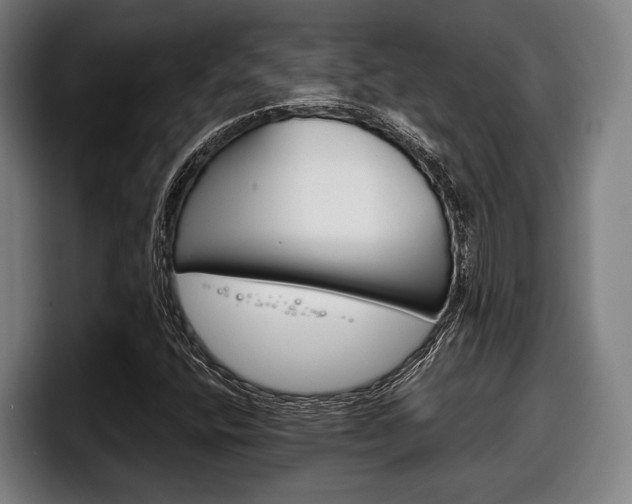 X0000098141400200804171110