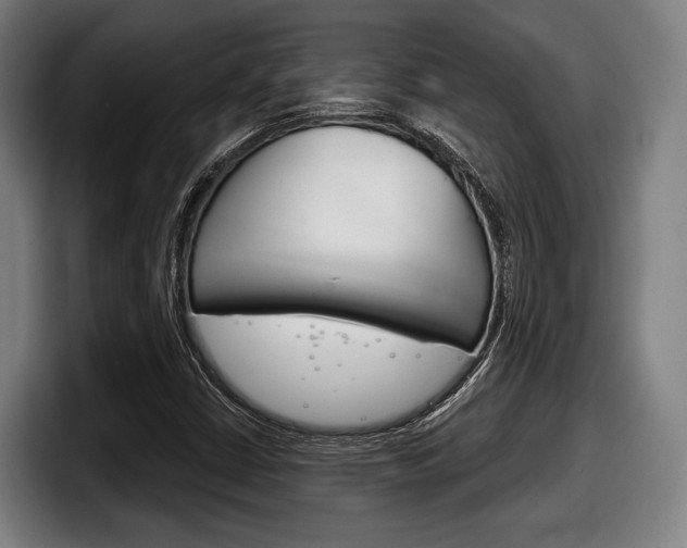 X0000098141402200804171110