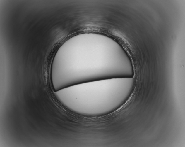 X0000098141403200804171110