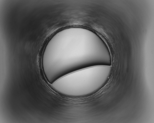 X0000098141404200804171110