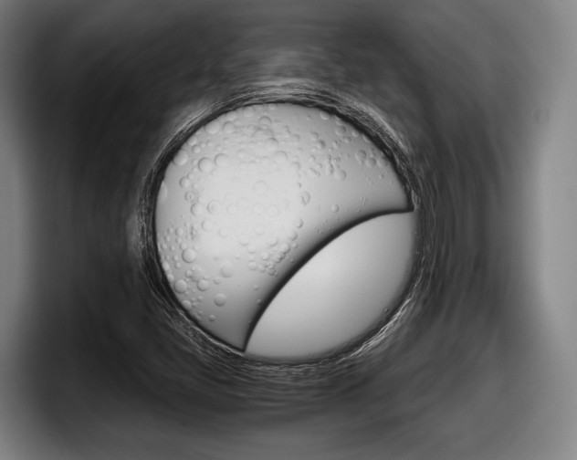 X0000098141405200804171110